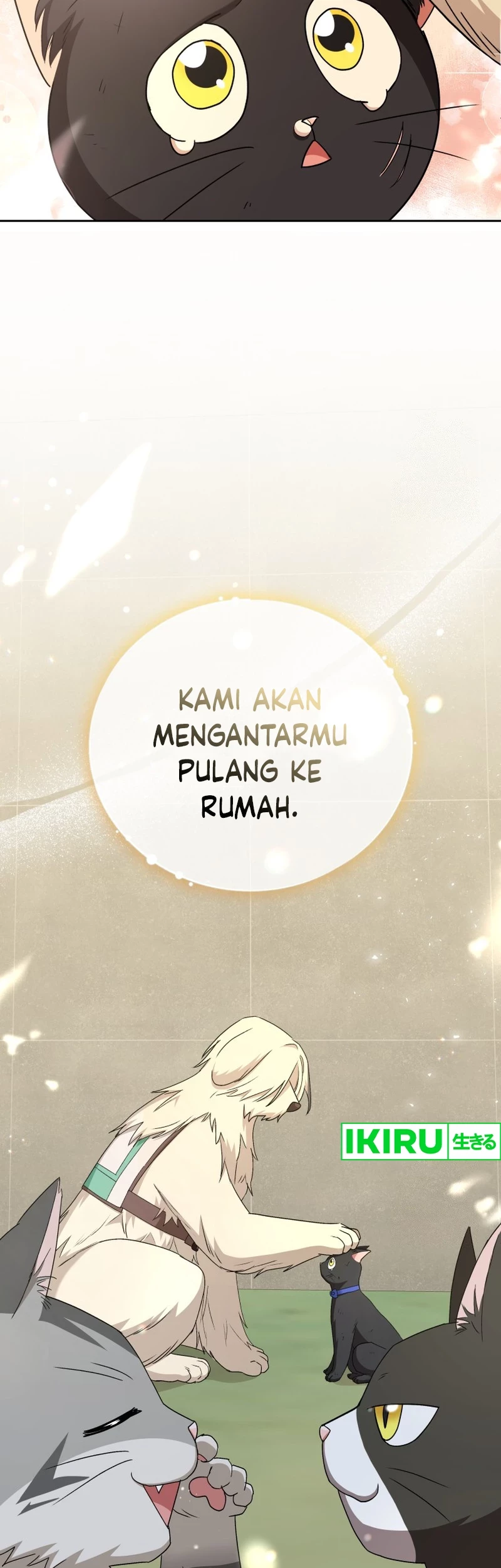 Halaman 54