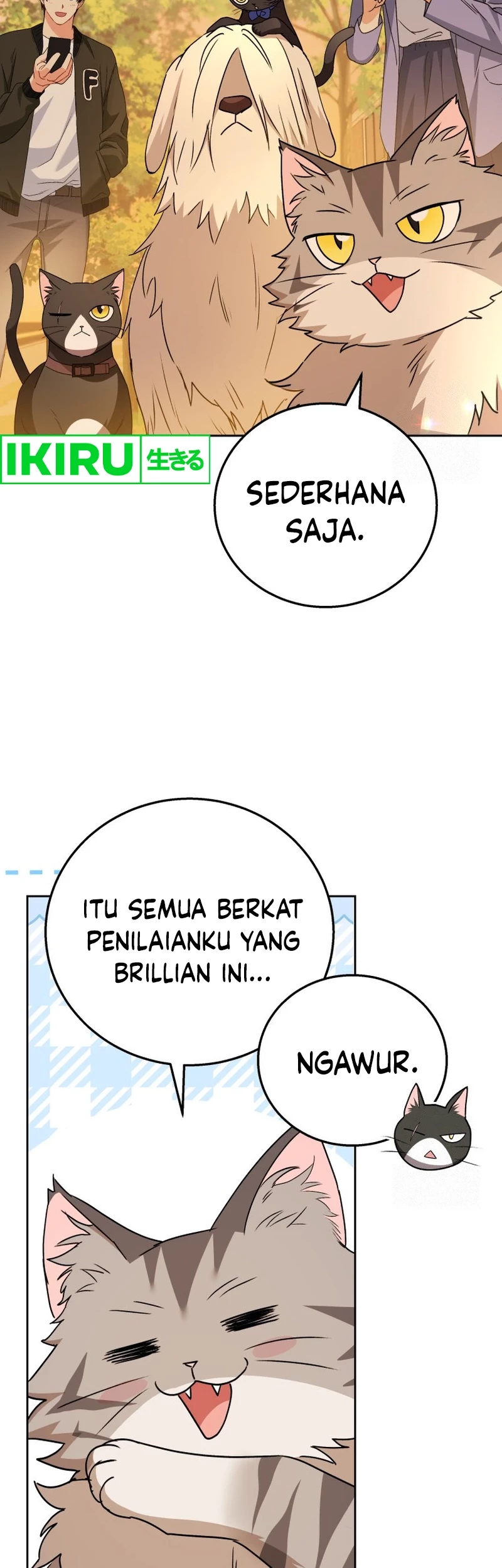 Halaman 151