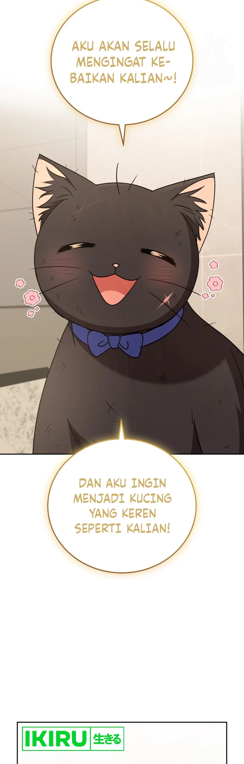 Halaman 167