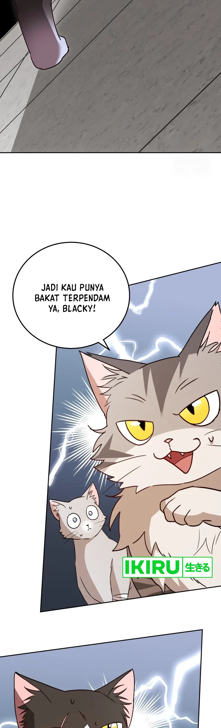 Halaman 181