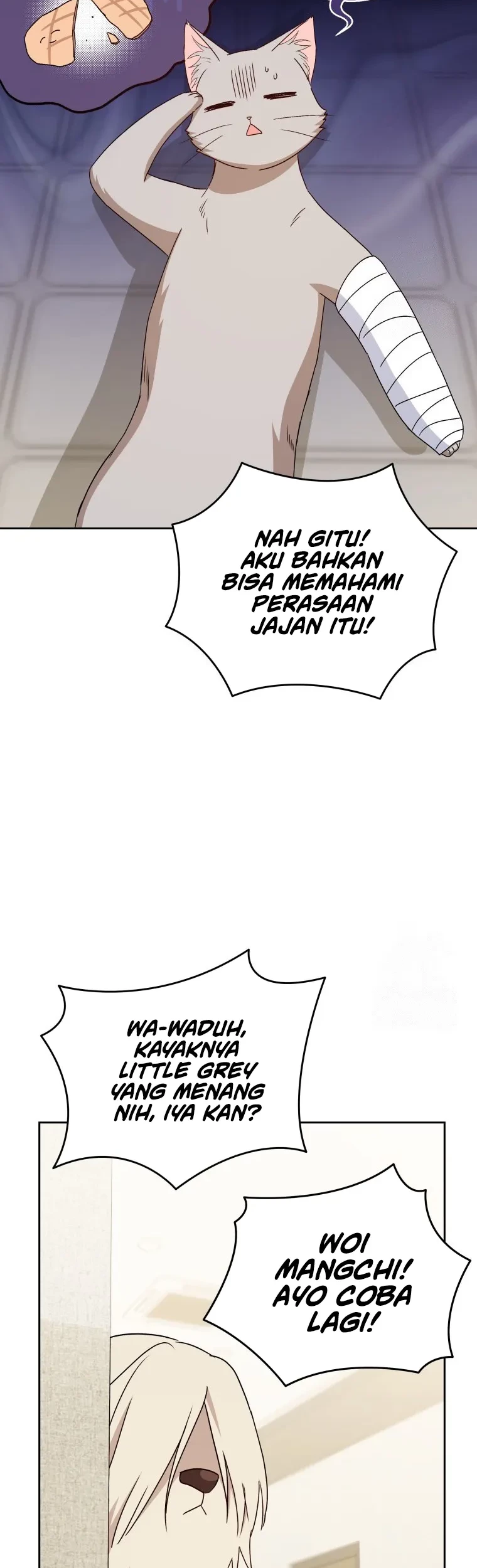 Halaman 43