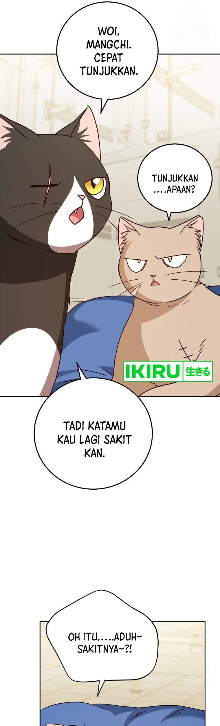 Halaman 37
