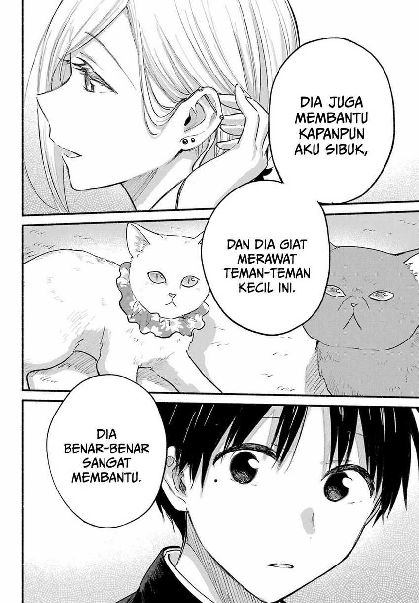 Halaman 17