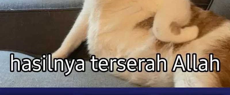 Halaman 303
