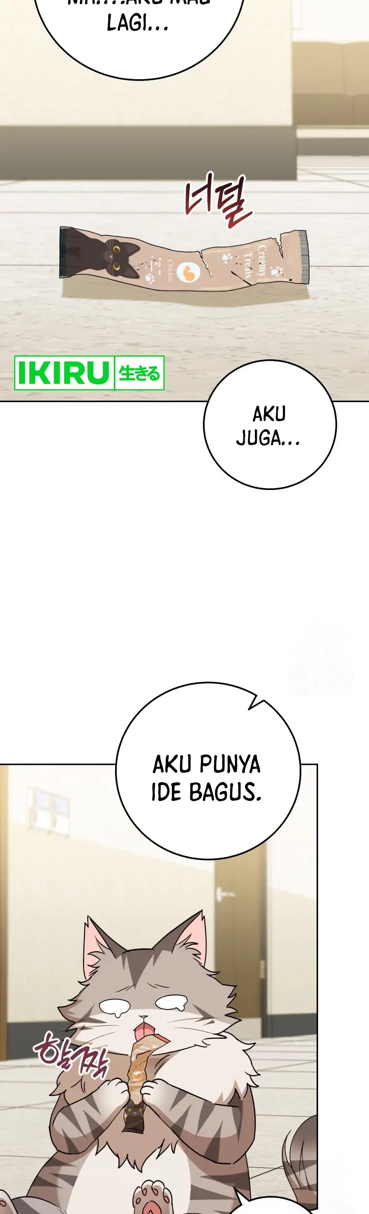 Halaman 43