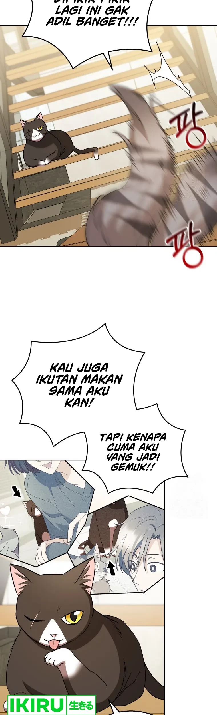 Halaman 19
