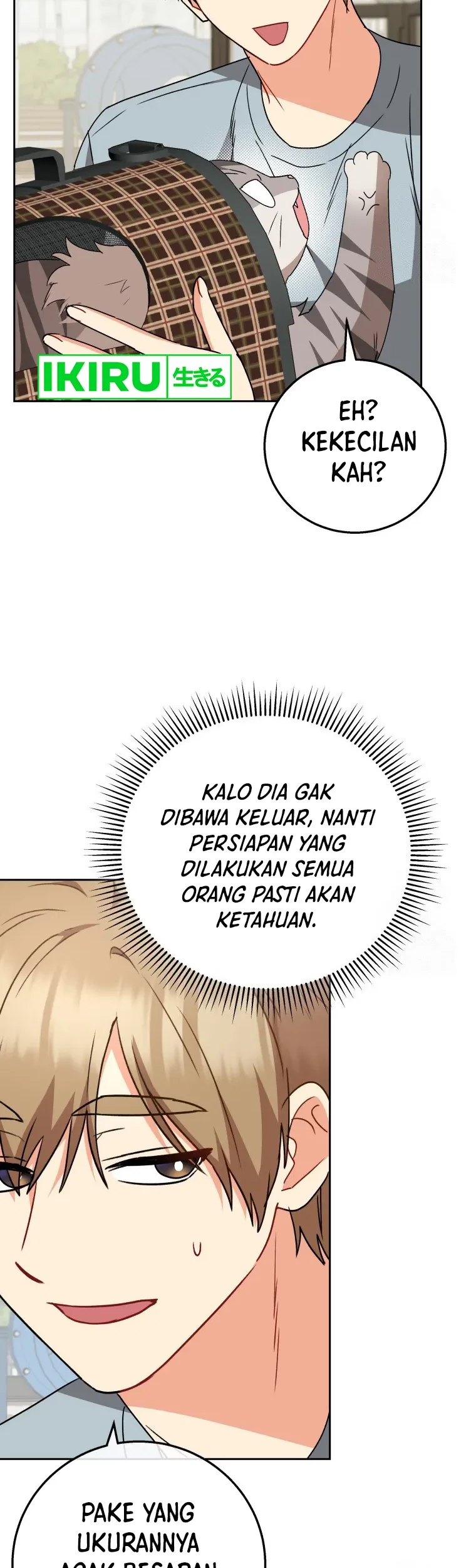 Halaman 28