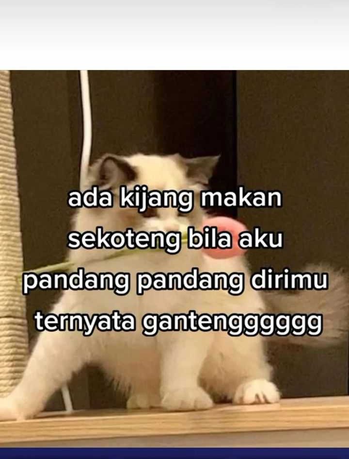 Halaman 66