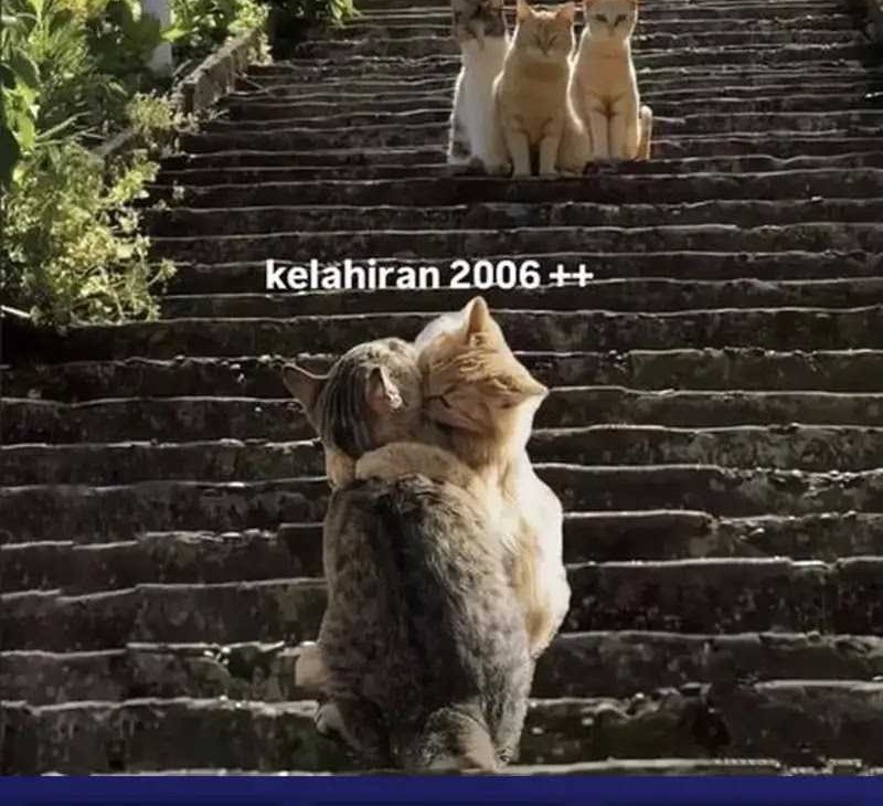 Halaman 148