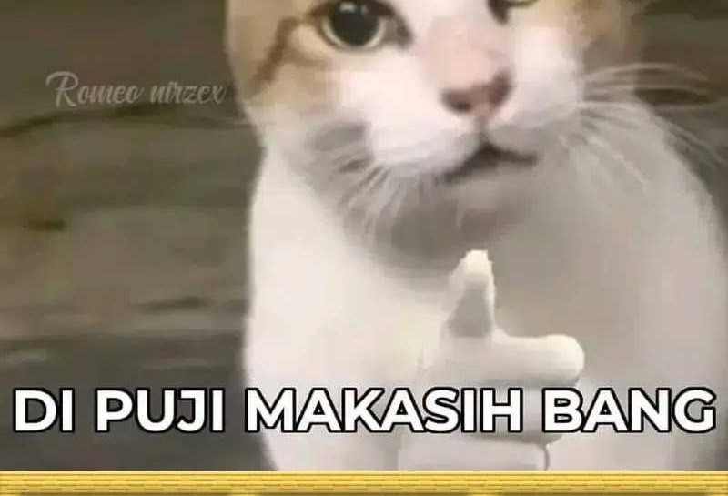 Halaman 48