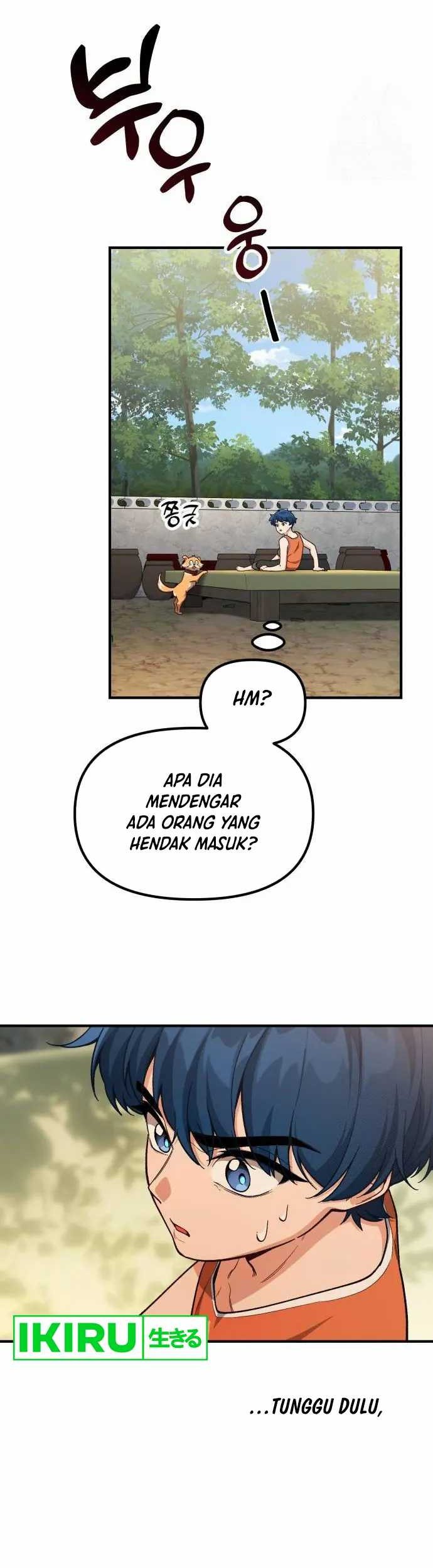 Halaman 43