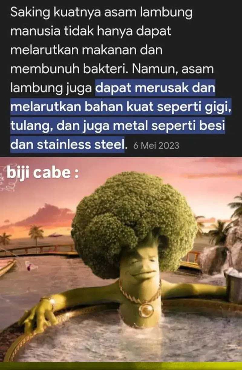 Halaman 87