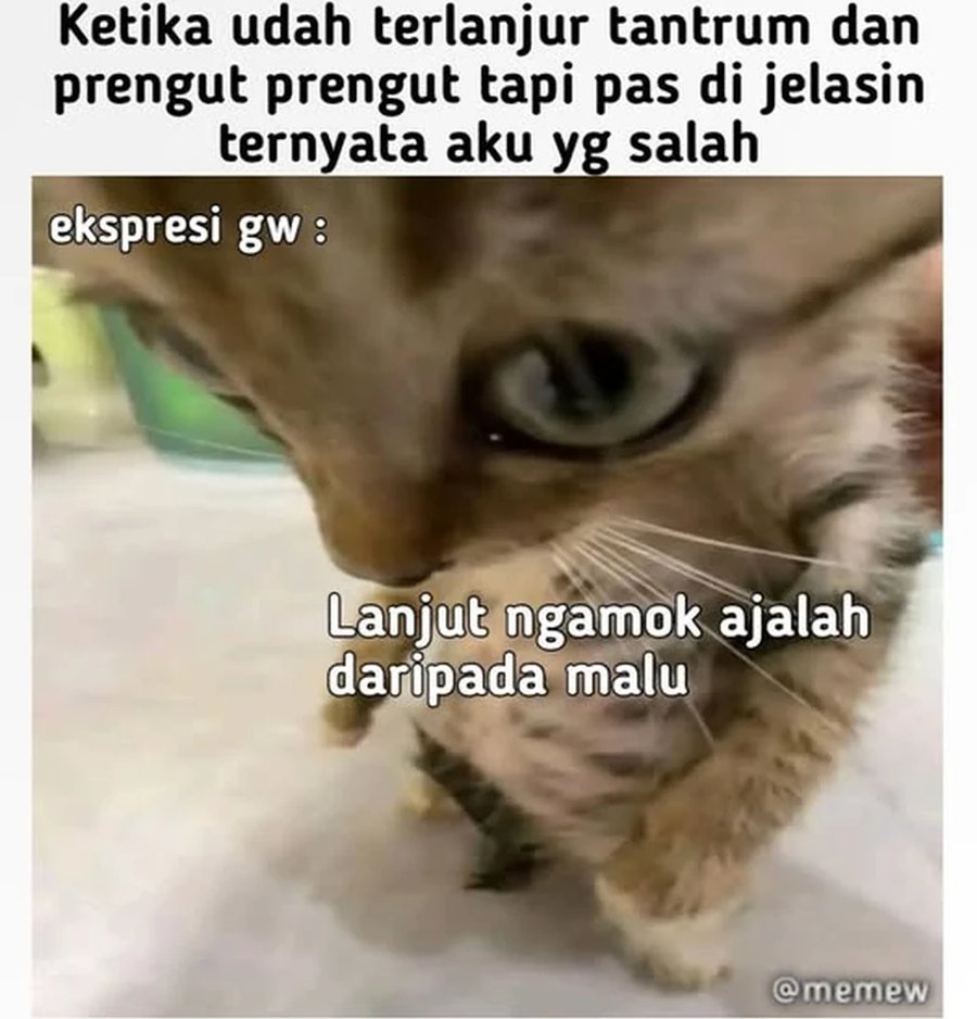 Halaman 150