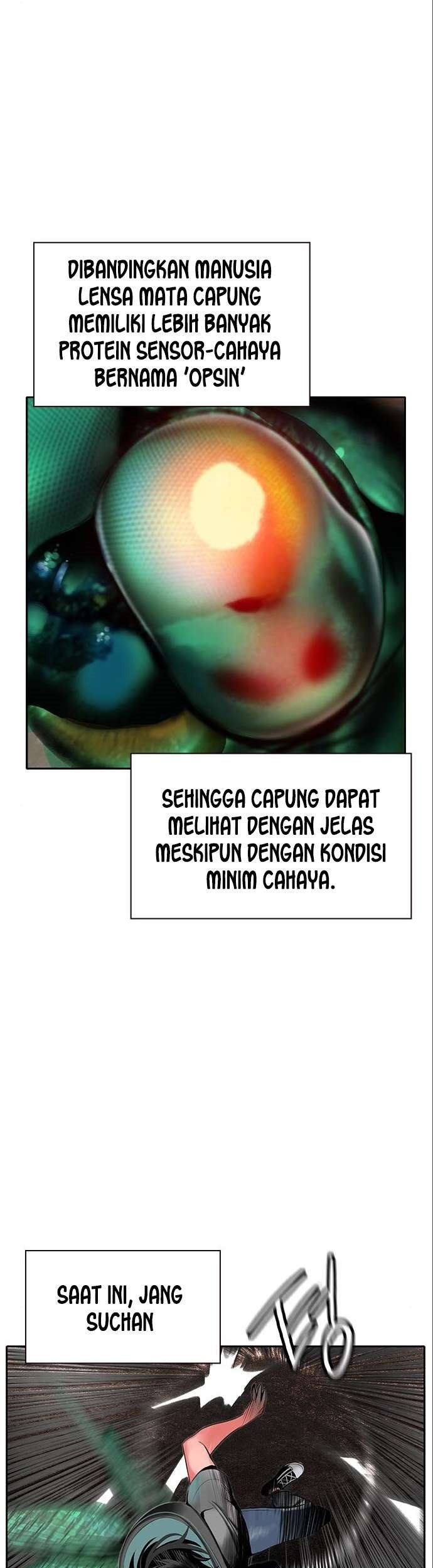Halaman 212