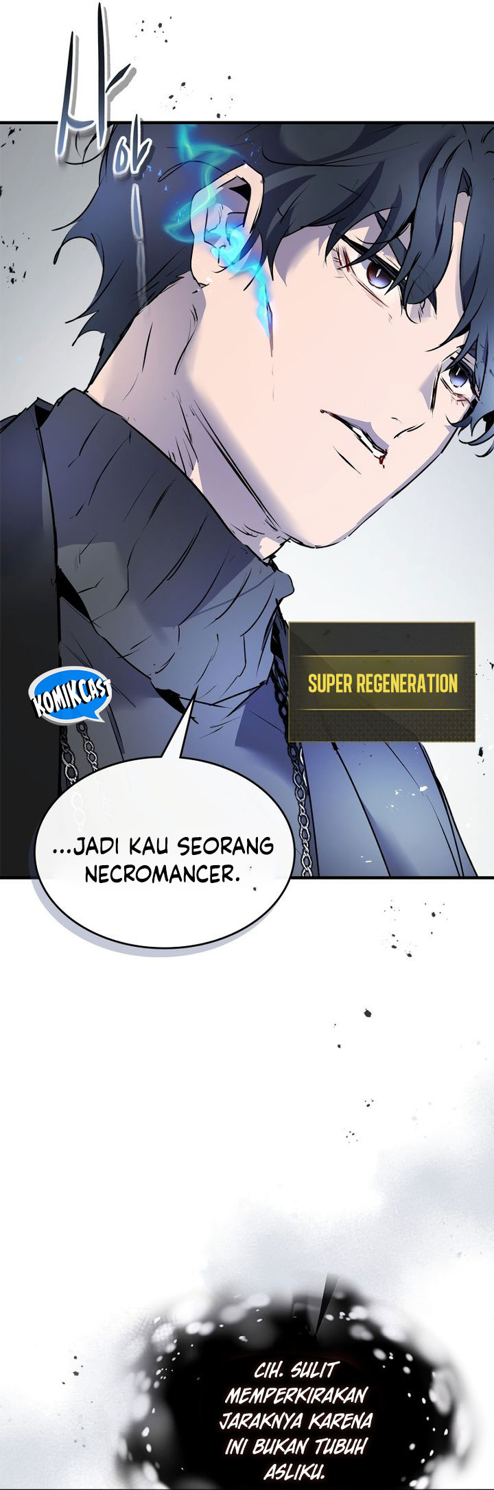 Halaman 233