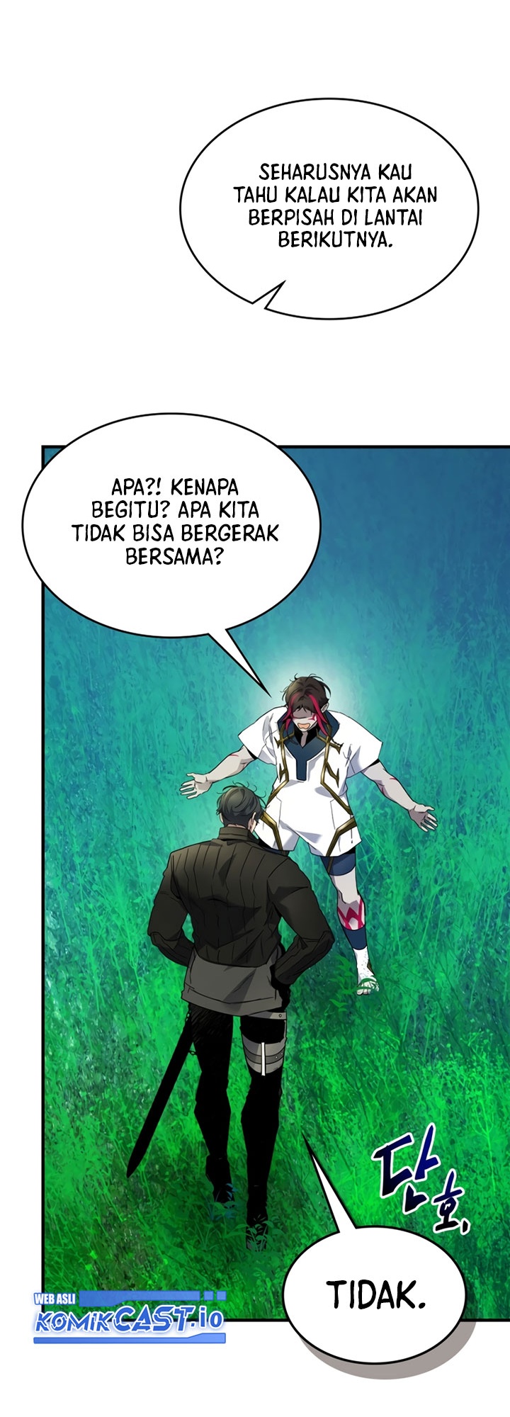Halaman 243