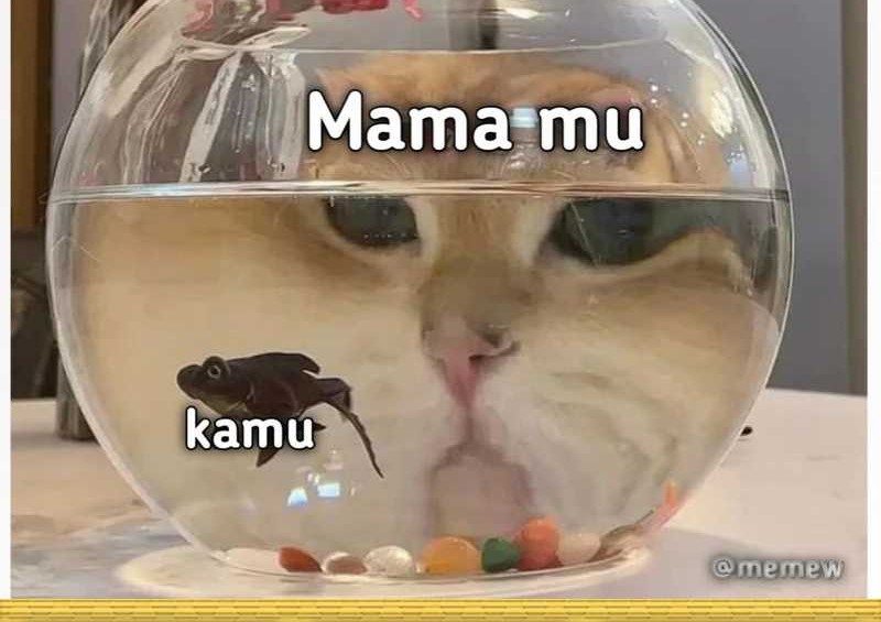 Halaman 43