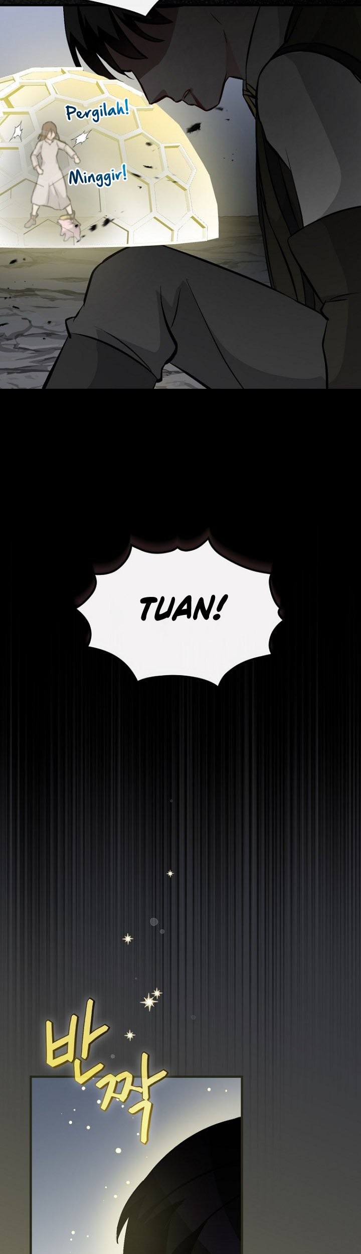 Halaman 81