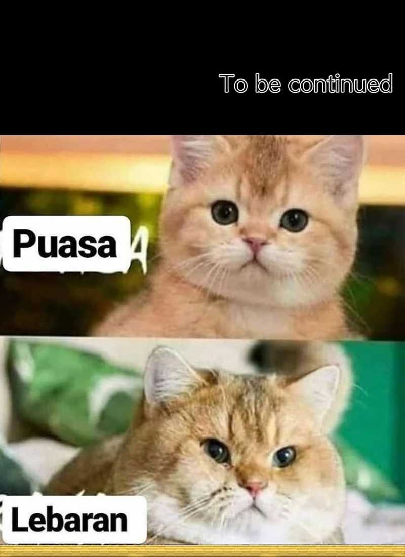 Halaman 98