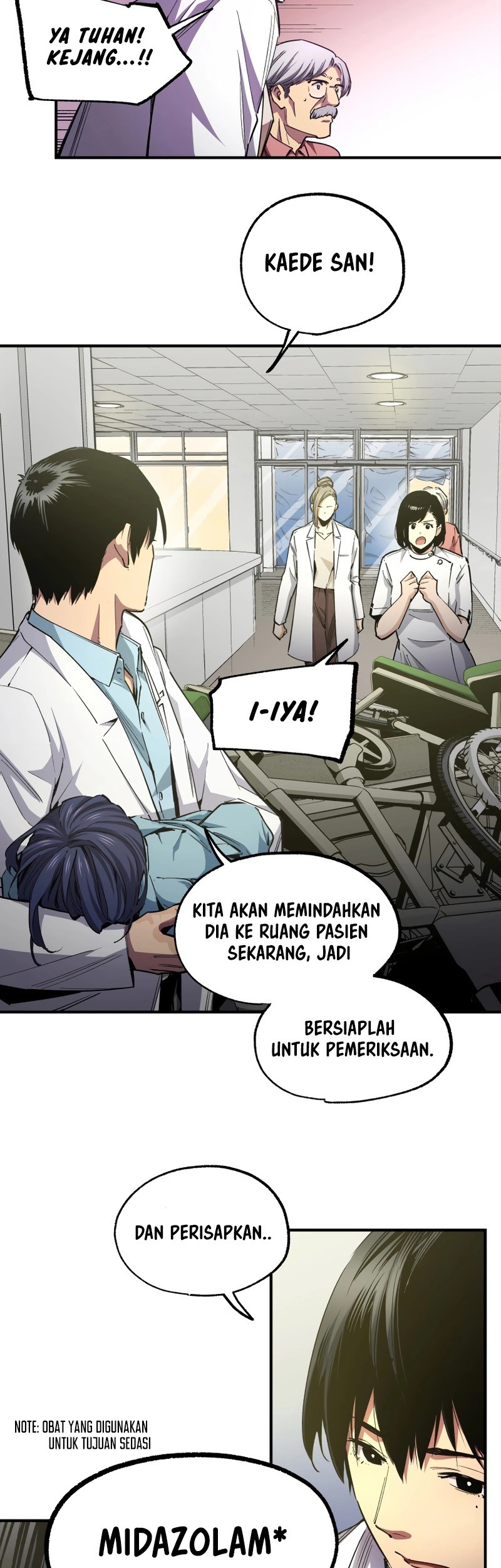 Halaman 17
