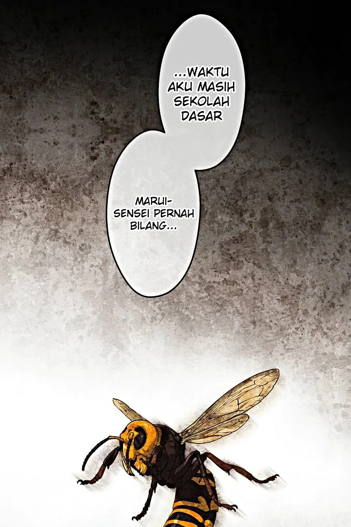 Halaman 173