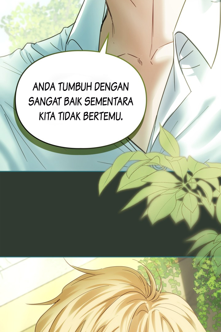 Halaman 243