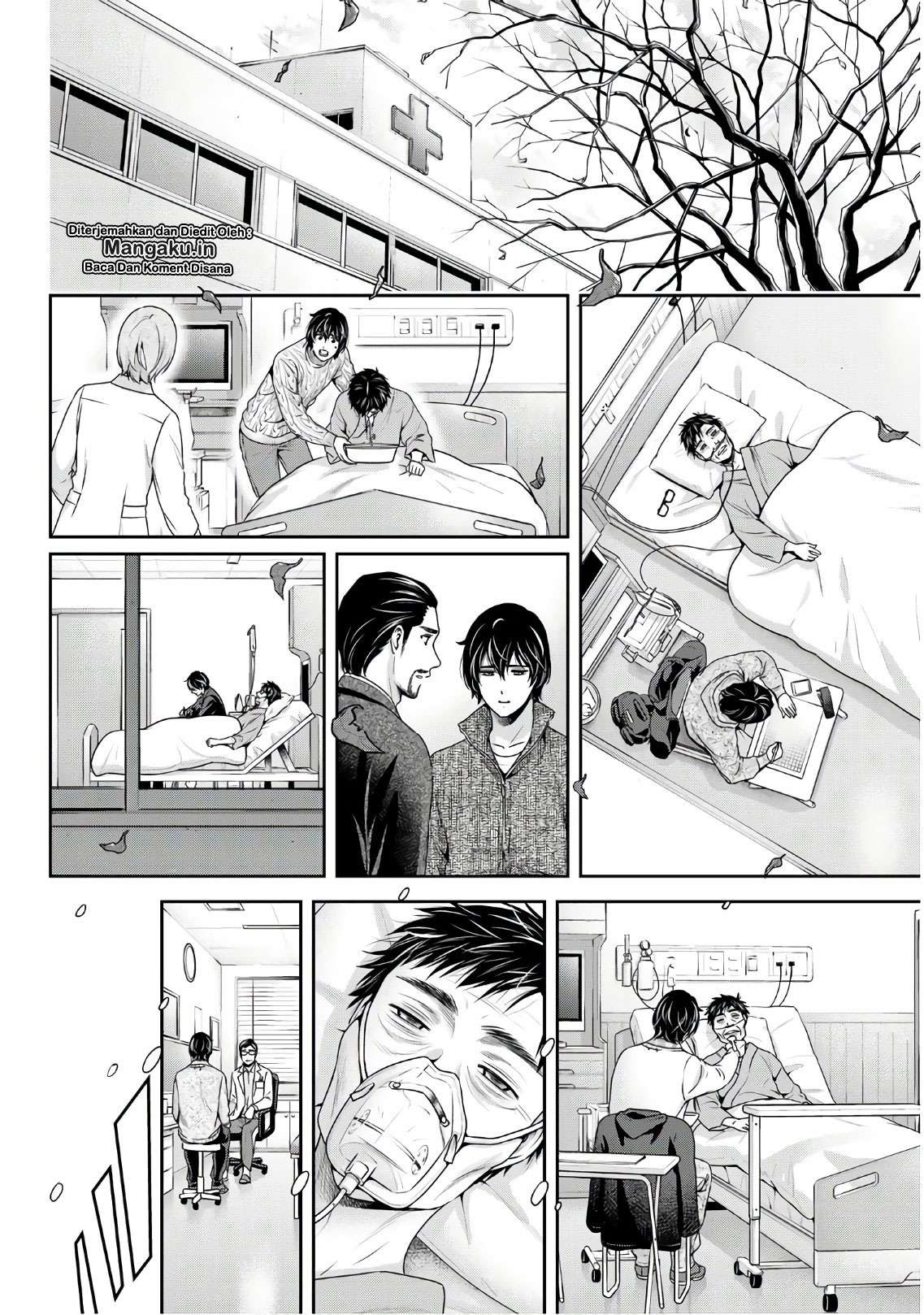 Halaman 17