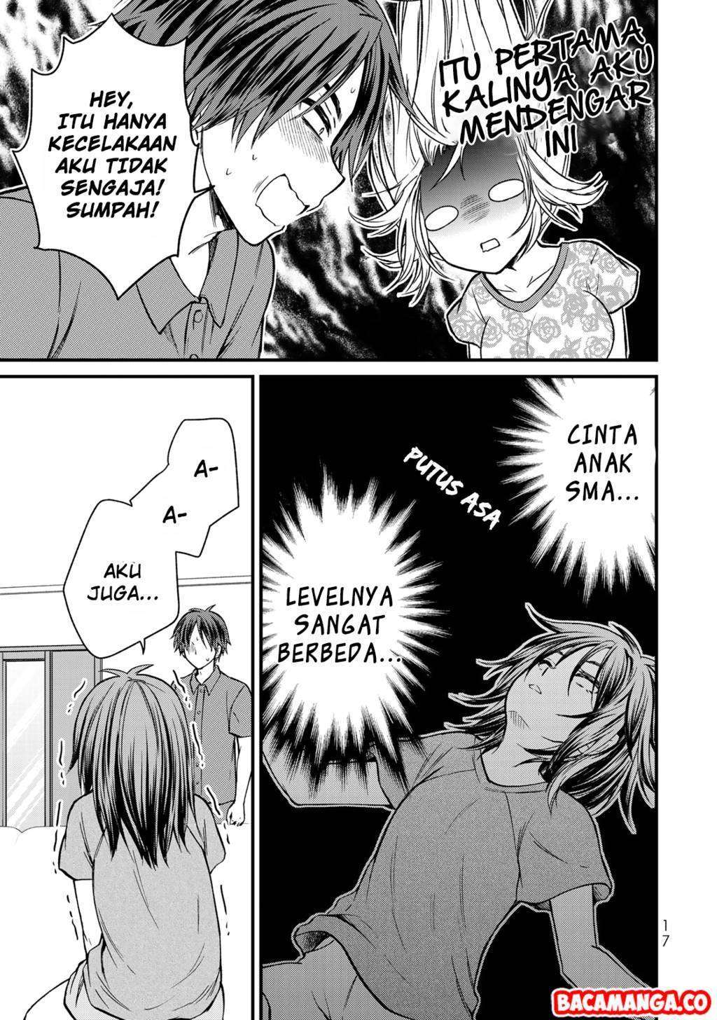 Halaman 17