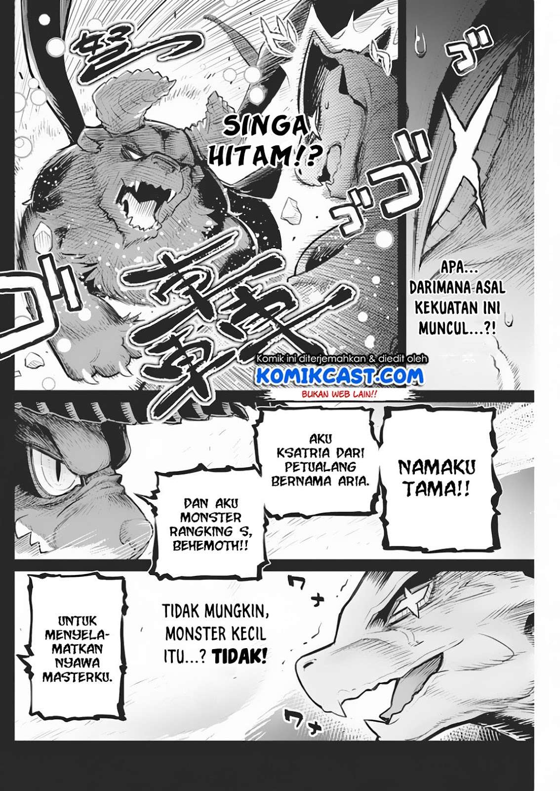 Halaman 19