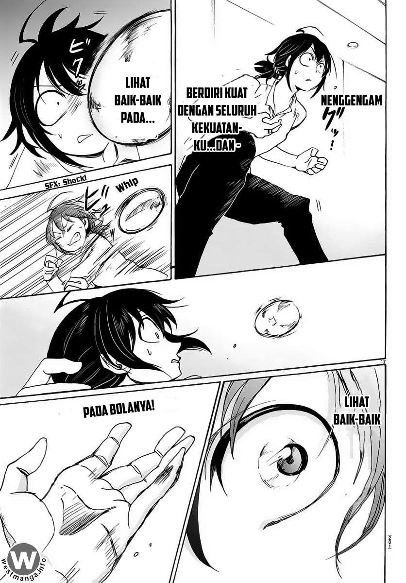 Halaman 17