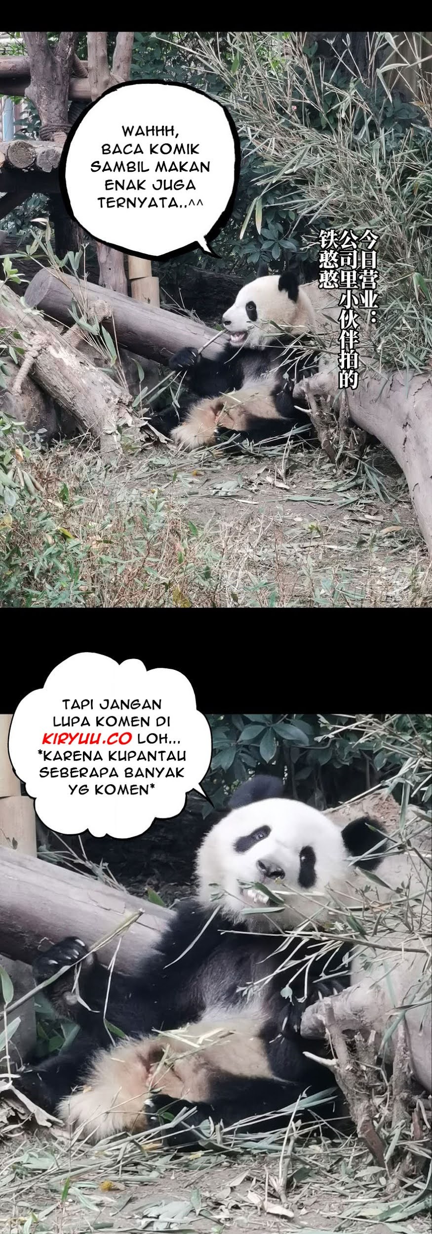 Halaman 88