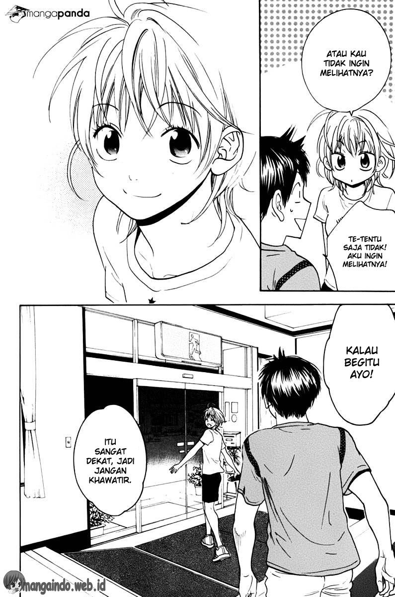 Halaman 19