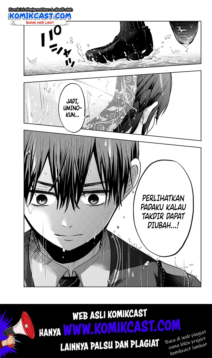 Halaman 17