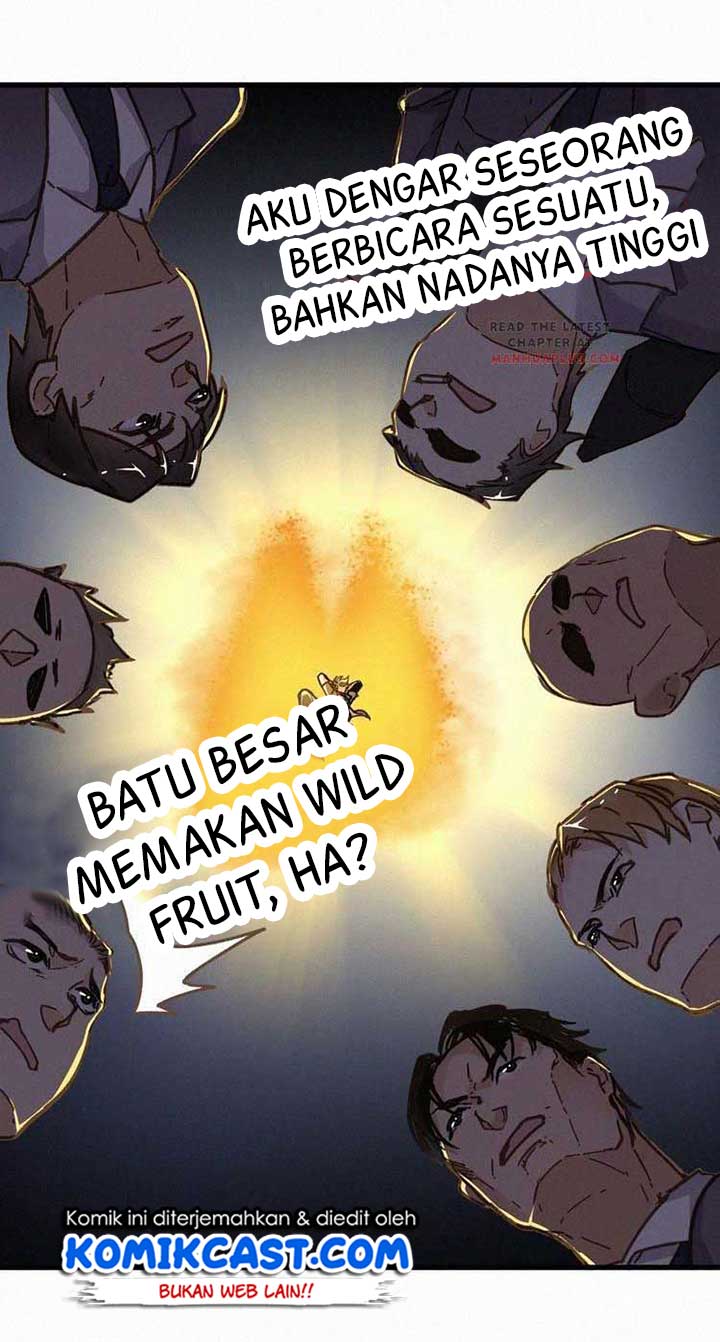 Halaman 17