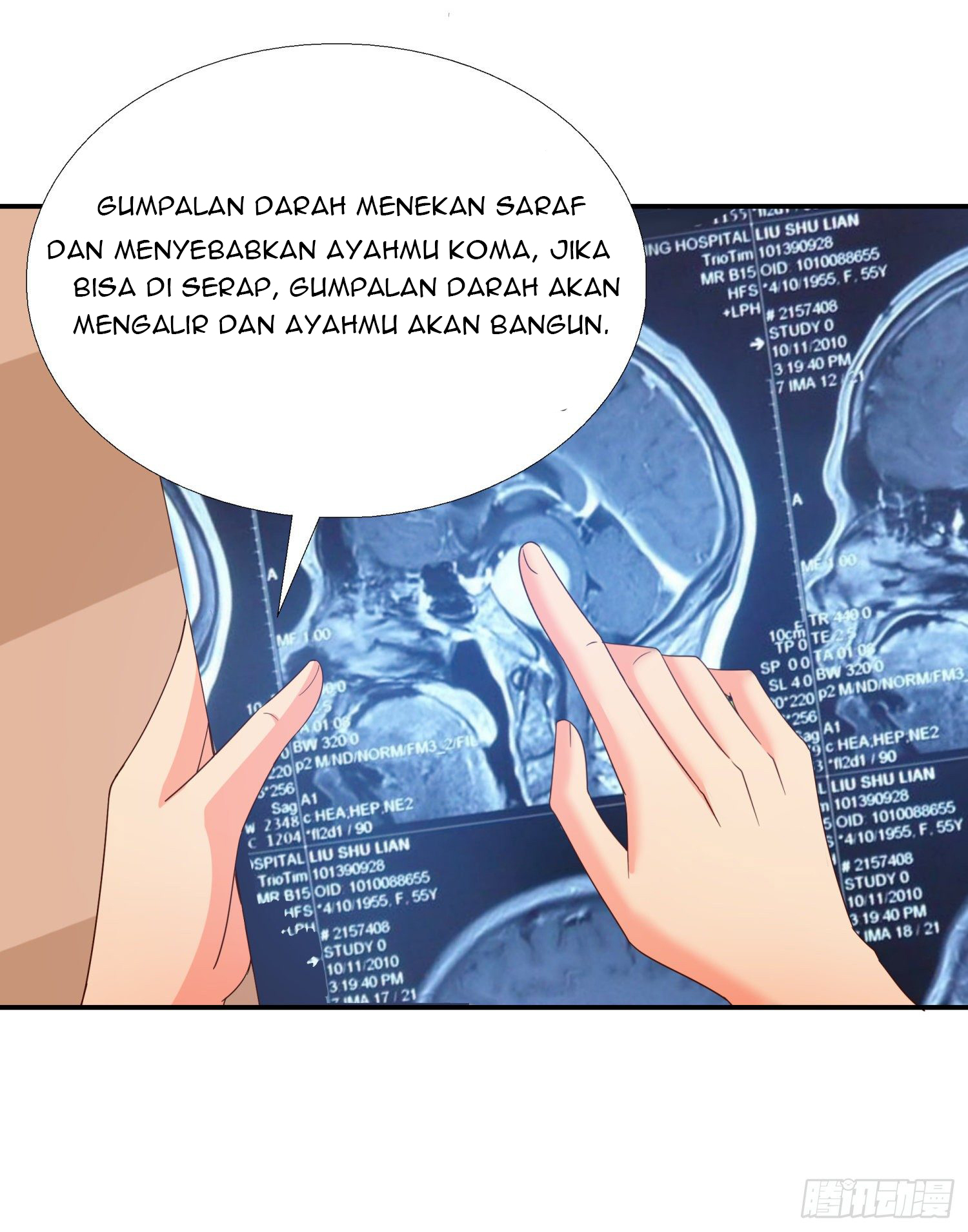 Halaman 215