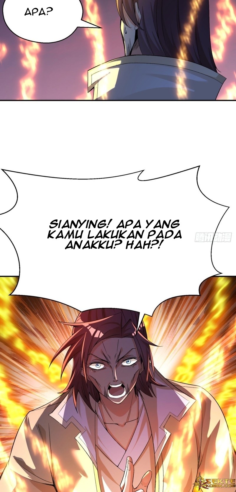 Halaman 219