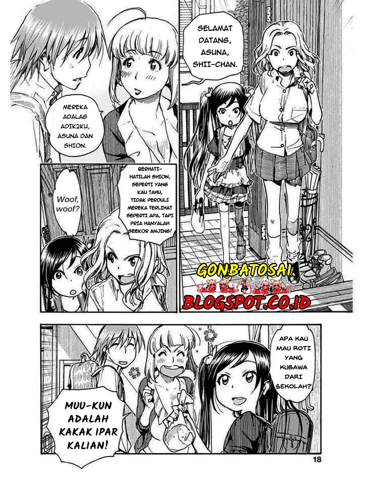 Halaman 17