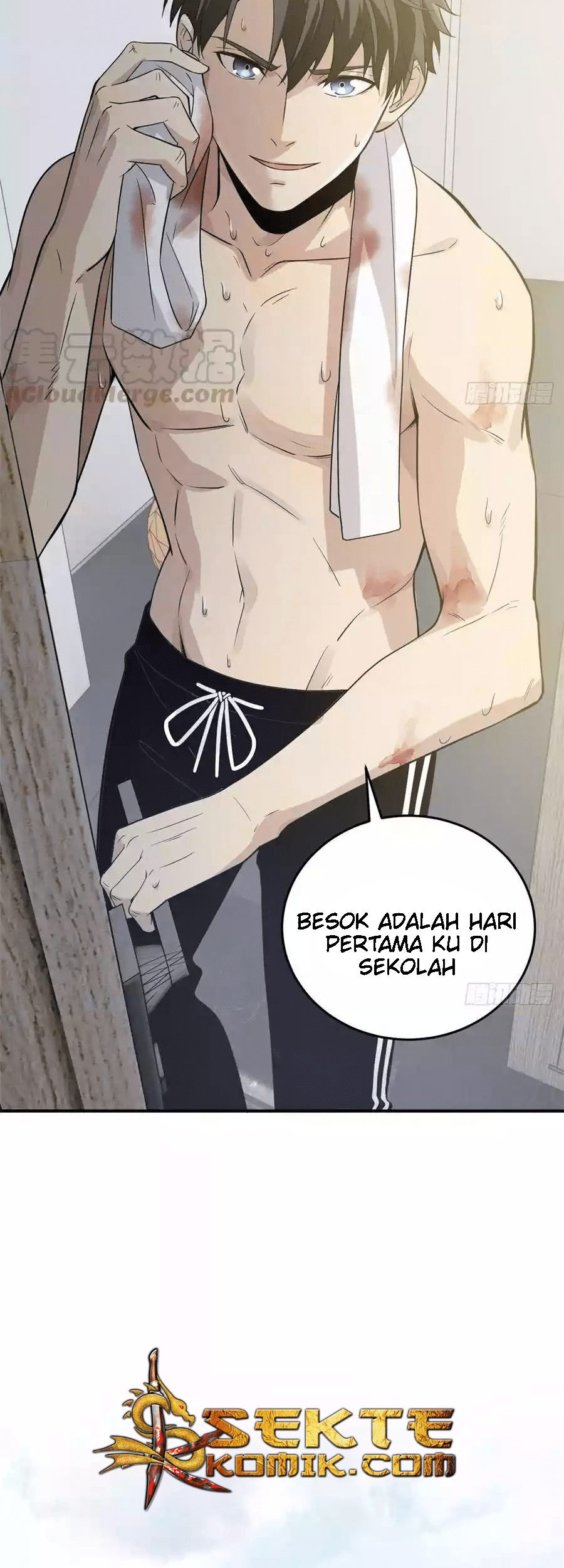 Halaman 17