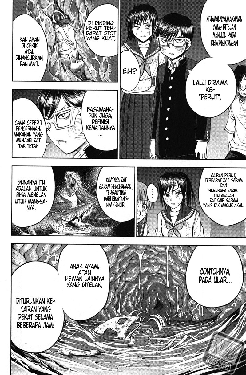 Halaman 13