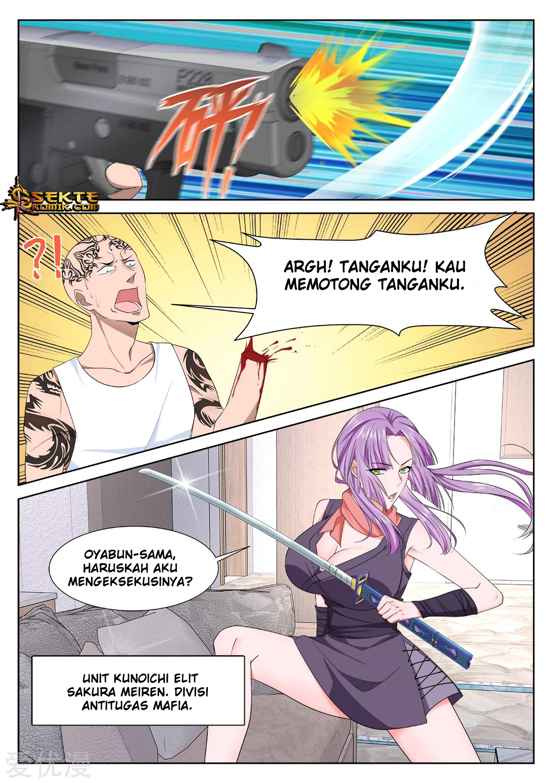 Halaman 17