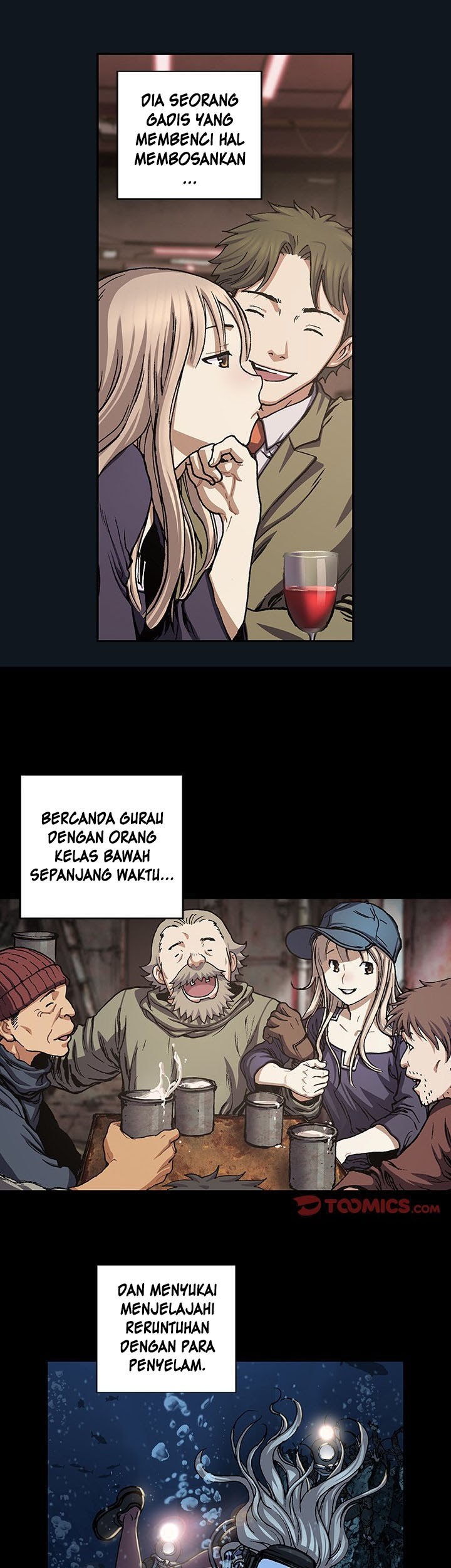 Halaman 17