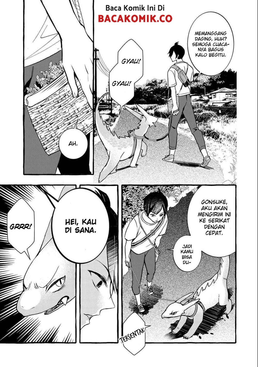 Halaman 17