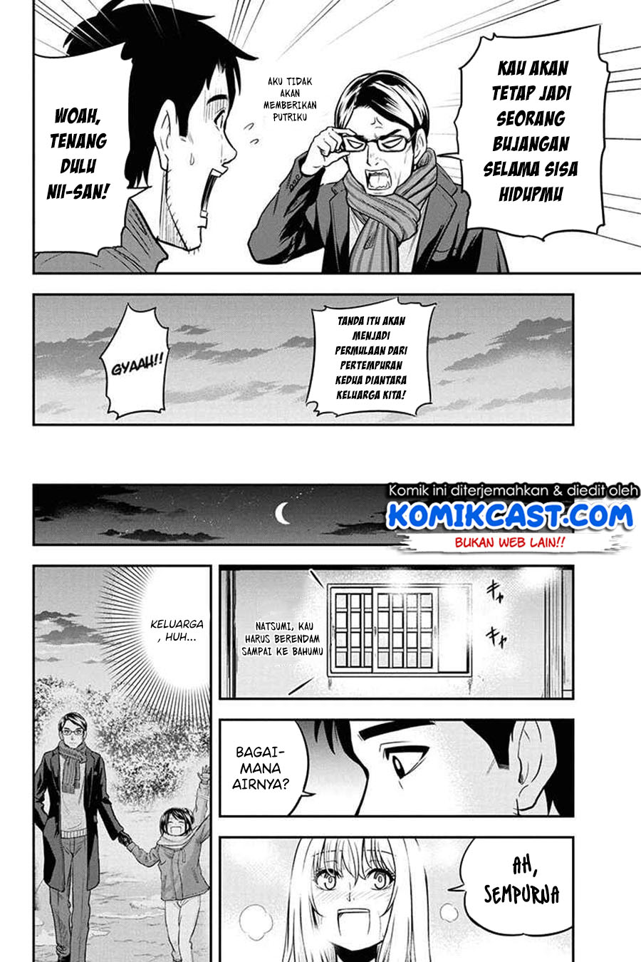 Halaman 17