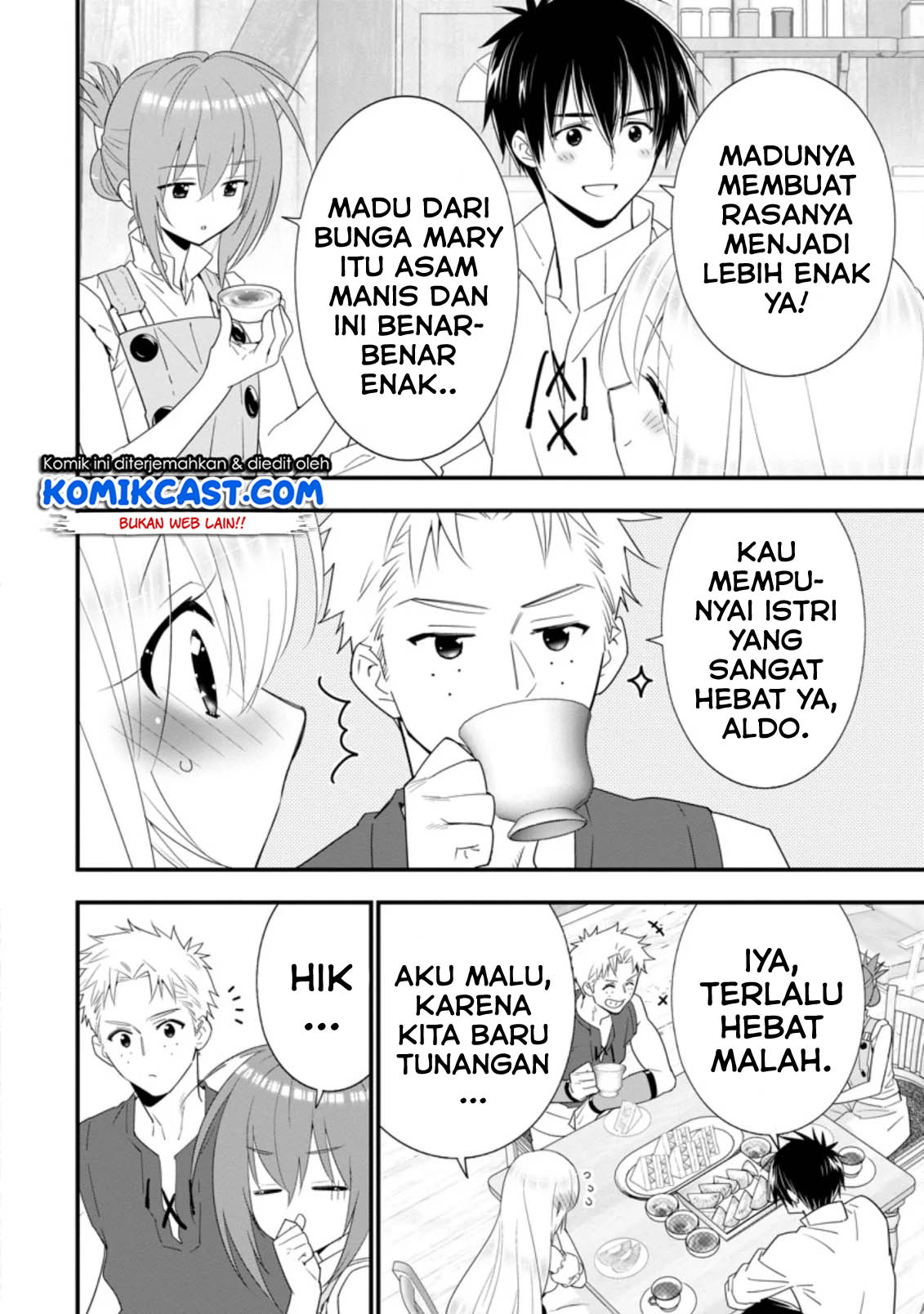 Halaman 11