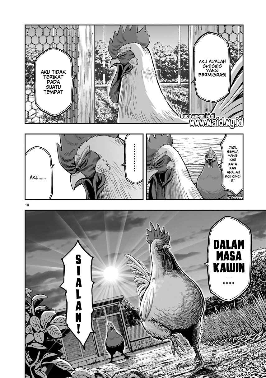 Halaman 46