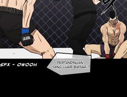 Halaman 17