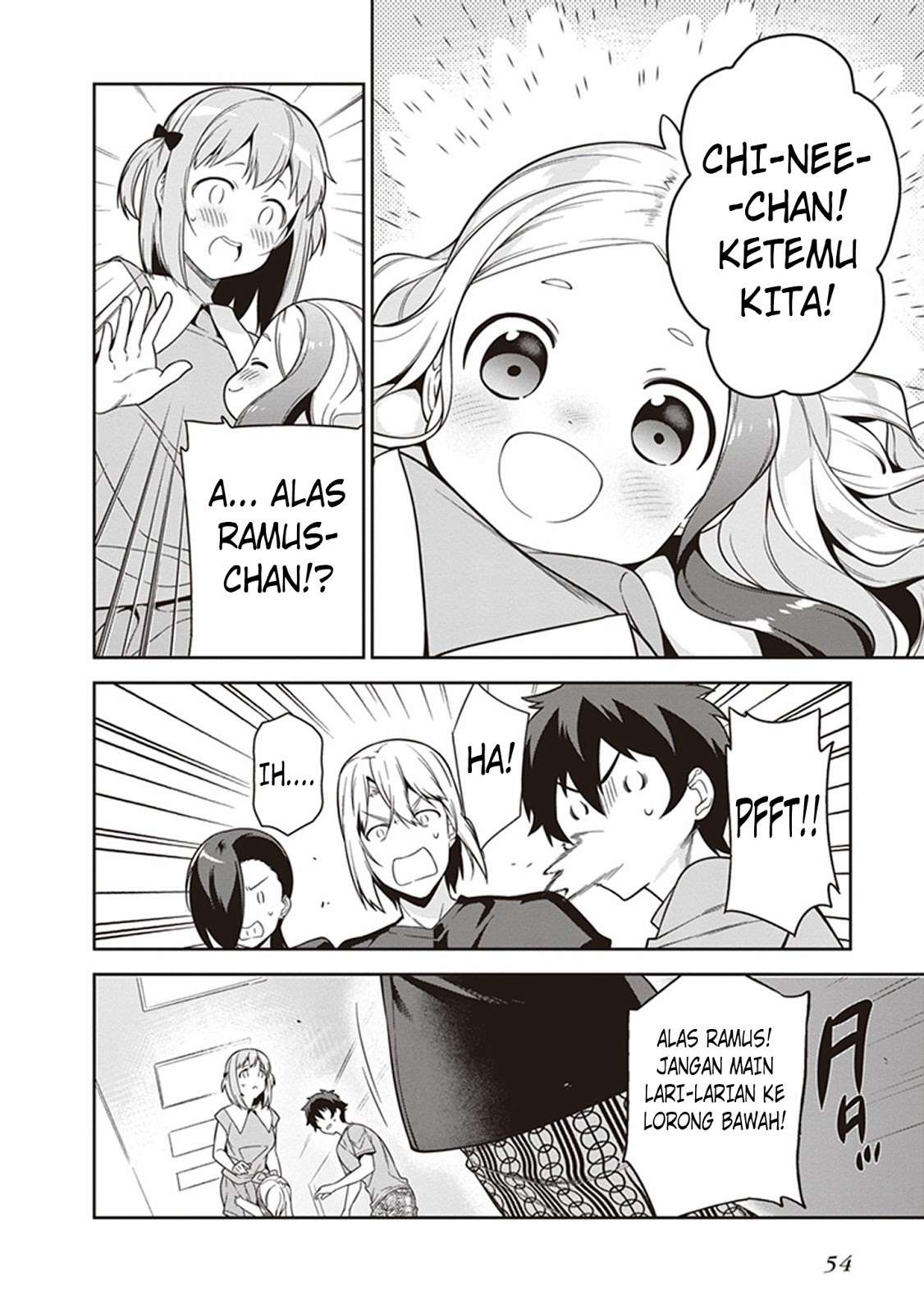 Halaman 17