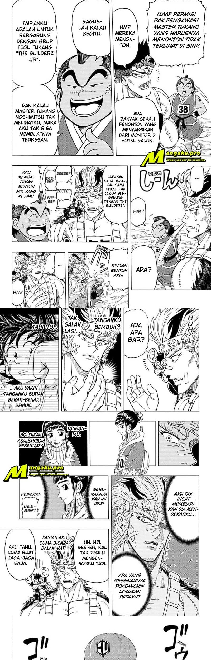 Halaman 17
