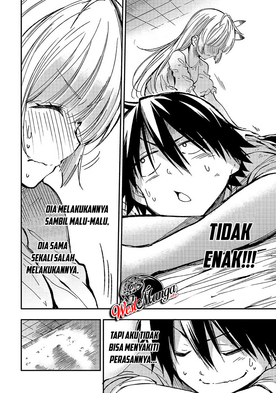 Halaman 11
