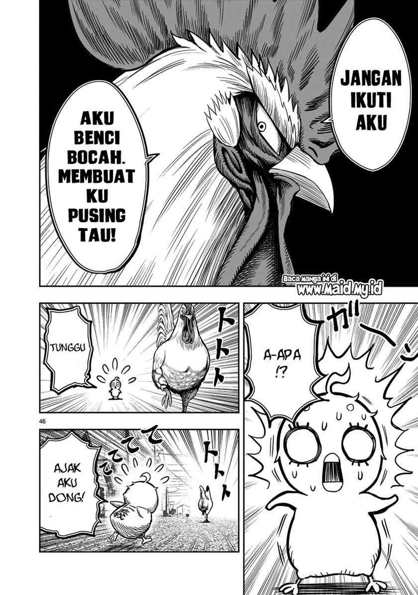 Halaman 48